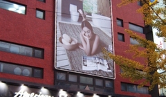 39 아메리칸 스탠다드 청담쇼룸